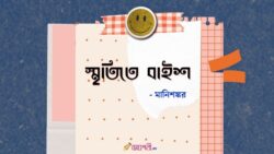 স্মৃতিতে বাইশ - মানিশঙ্কর Meghpori